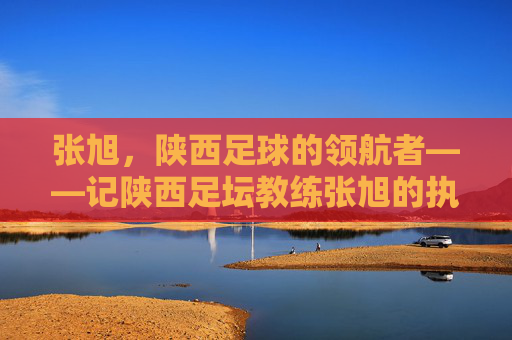 张旭，陕西足球的领航者——记陕西足坛教练张旭的执教之路与团队重塑，张旭，陕西足球的领航者——记陕西足坛教练张旭的执教之路与团队重塑