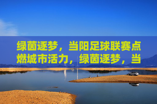 绿茵逐梦，当阳足球联赛点燃城市活力，绿茵逐梦，当阳足球联赛点燃城市活力