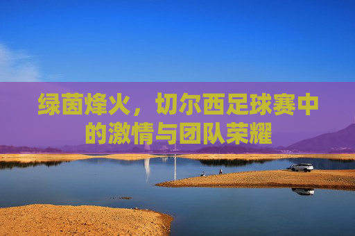 绿茵烽火,切尔西足球赛中的激情与团队荣耀