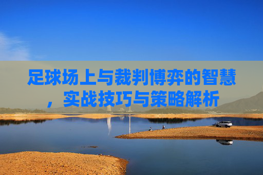 足球场上与裁判博弈的智慧，实战技巧与策略解析