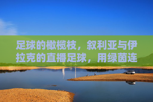 足球的橄榄枝,叙利亚与伊拉克的直播足球,用绿茵连接破碎的家园
