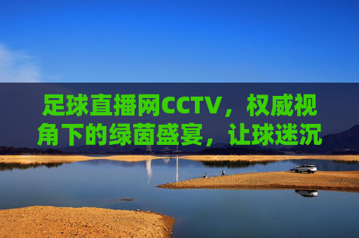 足球直播网CCTV，权威视角下的绿茵盛宴，让球迷沉浸式感受足球魅力