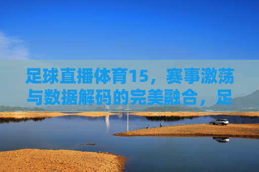 足球直播体育15，赛事激荡与数据解码的完美融合，足球直播体育15，赛事激荡与数据解码的完美融合