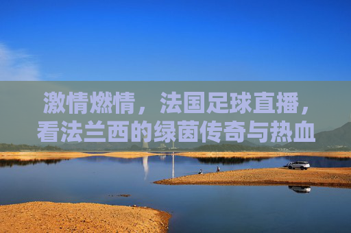 激情燃情,法国足球直播,看法兰西的绿茵传奇与热血瞬间