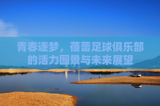 青春逐梦，蓓蕾足球俱乐部的活力图景与未来展望
