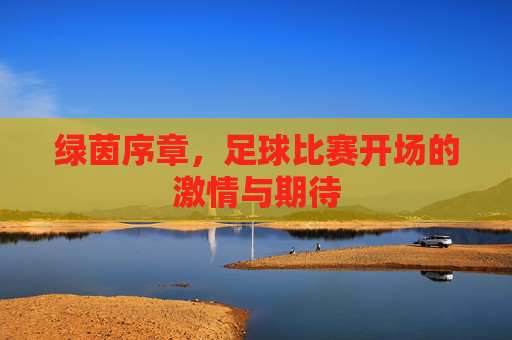 绿茵序章，足球比赛开场的激情与期待