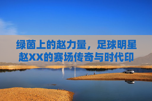 绿茵上的赵力量,足球明星赵XX的赛场传奇与时代印记