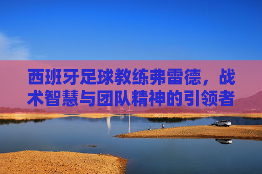 西班牙足球教练弗雷德,战术智慧与团队精神的引领者