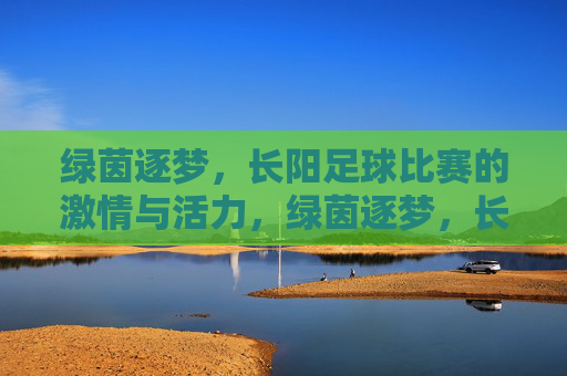 绿茵逐梦,长阳足球比赛的激情与活力,绿茵逐梦,长阳足球比赛的激情与活力