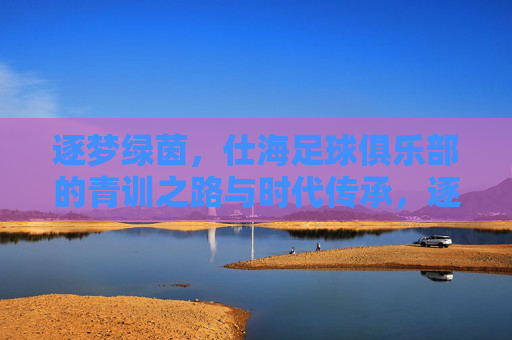 逐梦绿茵,仕海足球俱乐部的青训之路与时代传承,逐梦绿茵,仕海足球俱乐部的青训之路与时代传承