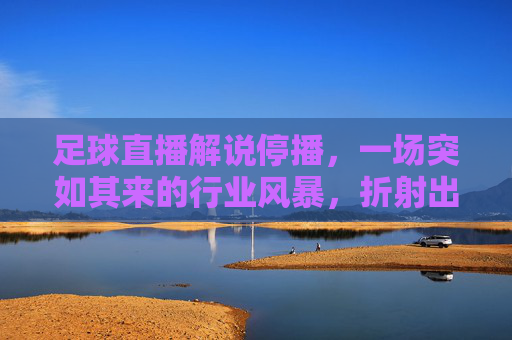 足球直播解说停播,一场突如其来的行业风暴,折射出的不仅是技术困境,更是内容生态的深层次挑战,足球直播解说停播,一场行业风暴,折射技术困境与内容生态的深层挑战