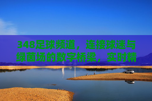 348足球频道,连接球迷与绿茵场的数字桥梁,实时精彩与深度解读的足球盛宴