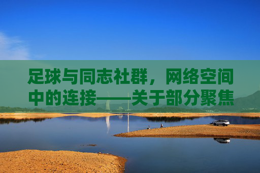 足球与同志社群，网络空间中的连接——关于部分聚焦足球与同性恋主题的网站分析