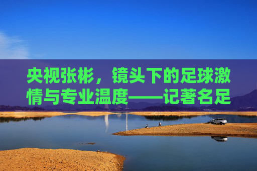 央视张彬,镜头下的足球激情与专业温度——记著名足球解说员与评论员张彬