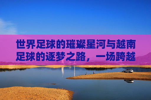 世界足球的璀璨星河与越南足球的逐梦之路,一场跨越国界的足球对话