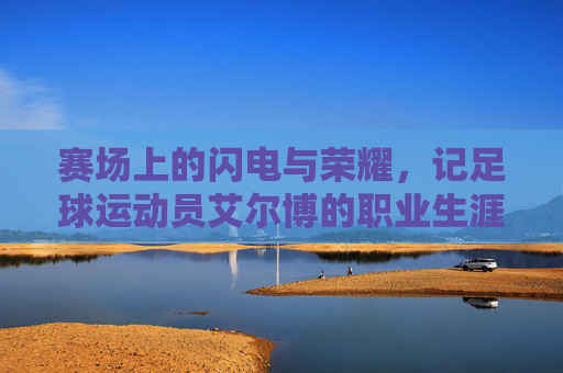 赛场上的闪电与荣耀，记足球运动员艾尔博的职业生涯，赛场上的闪电与荣耀，记足球运动员艾尔博的职业生涯