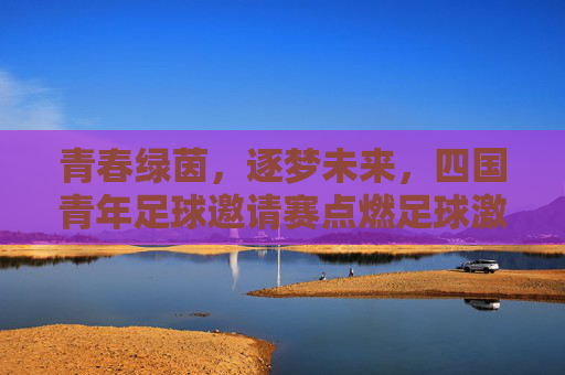青春绿茵,逐梦未来,四国青年足球邀请赛点燃足球激情与希望