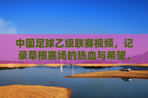 中国足球乙级联赛视频,记录草根赛场的热血与希望,见证职业足球的新力量