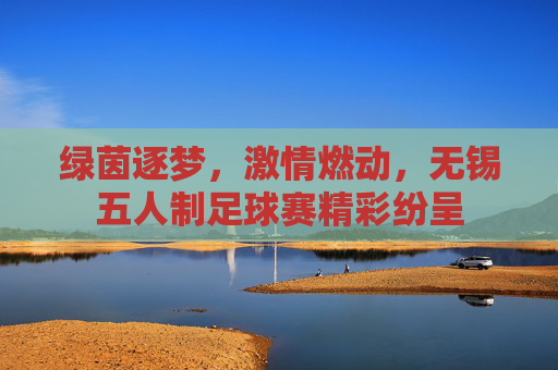 绿茵逐梦,激情燃动,无锡五人制足球赛精彩纷呈