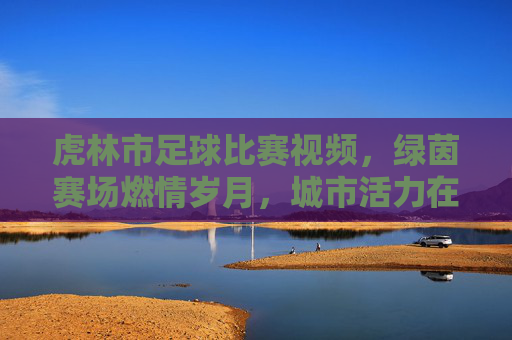 虎林市足球比赛视频，绿茵赛场燃情岁月，城市活力在球鞋中绽放