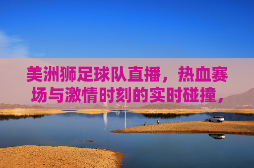 美洲狮足球队直播,热血赛场与激情时刻的实时碰撞,美洲狮足球队直播,热血赛场与激情时刻的实时碰撞