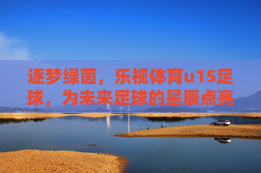 逐梦绿茵,乐视体育u15足球,为未来足球的星辰点亮希望