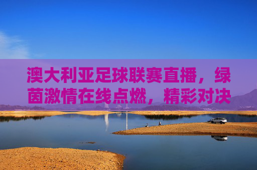 澳大利亚足球联赛直播,绿茵激情在线点燃,精彩对决触手可及