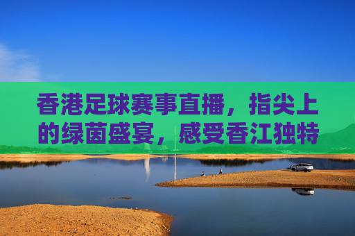 香港足球赛事直播，指尖上的绿茵盛宴，感受香江独特足球魅力