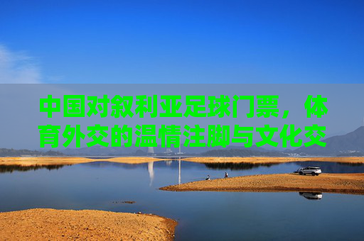 中国对叙利亚足球门票,体育外交的温情注脚与文化交流的桥梁