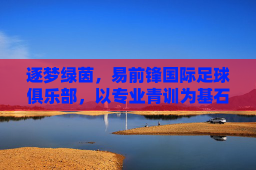 逐梦绿茵,易前锋国际足球俱乐部,以专业青训为基石,点燃青少年足球的激情火种