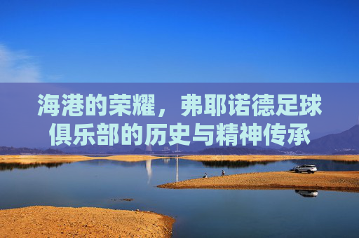 海港的荣耀,弗耶诺德足球俱乐部的历史与精神传承
