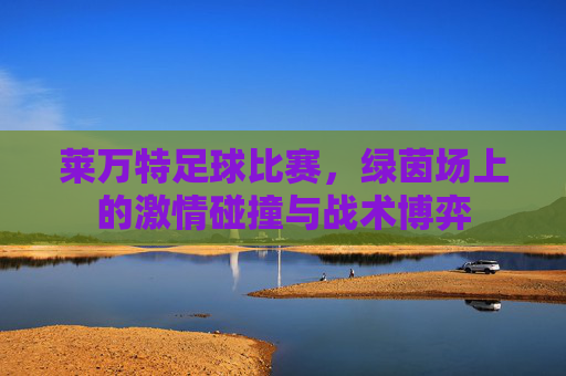 莱万特足球比赛,绿茵场上的激情碰撞与战术博弈