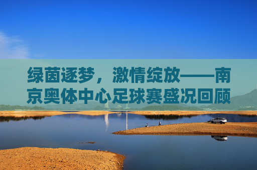 绿茵逐梦,激情绽放——南京奥体中心足球赛盛况回顾,绿茵逐梦,激情绽放——南京奥体中心足球赛盛况回顾