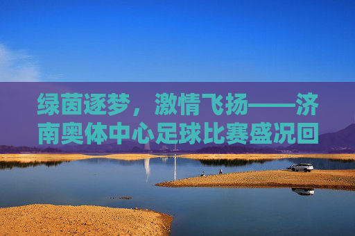 绿茵逐梦,激情飞扬——济南奥体中心足球比赛盛况回眸