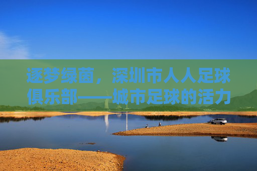 逐梦绿茵，深圳市人人足球俱乐部——城市足球的活力缩影与未来展望