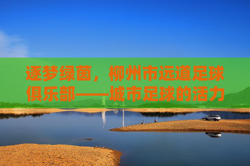 逐梦绿茵,柳州市远道足球俱乐部——城市足球的活力引擎与青训摇篮