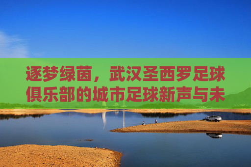 逐梦绿茵,武汉圣西罗足球俱乐部的城市足球新声与未来展望,逐梦绿茵,武汉圣西罗足球俱乐部的城市足球新声与未来展望