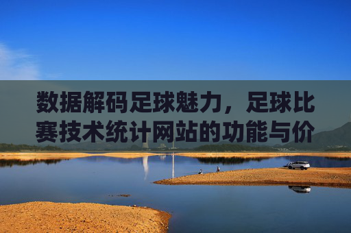 数据解码足球魅力,足球比赛技术统计网站的功能与价值