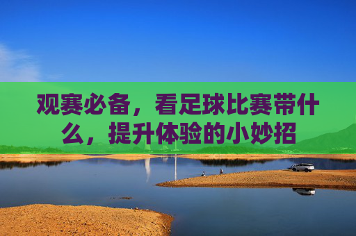 观赛必备,看足球比赛带什么,提升体验的小妙招
