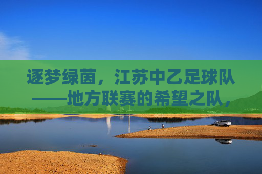 逐梦绿茵,江苏中乙足球队——地方联赛的希望之队,职业足球的潜力股