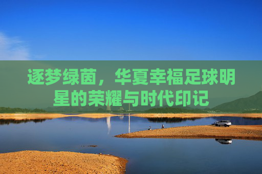 逐梦绿茵,华夏幸福足球明星的荣耀与时代印记