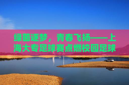 绿茵逐梦，青春飞扬——上海大专足球赛点燃校园足球新活力