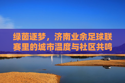 绿茵逐梦，济南业余足球联赛里的城市温度与社区共鸣