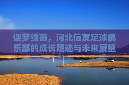 逐梦绿茵,河北信友足球俱乐部的成长足迹与未来展望