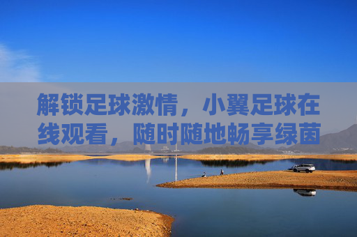 解锁足球激情，小翼足球在线观看，随时随地畅享绿茵盛宴，解锁足球激情，小翼足球在线看，随时随地畅享绿茵盛宴