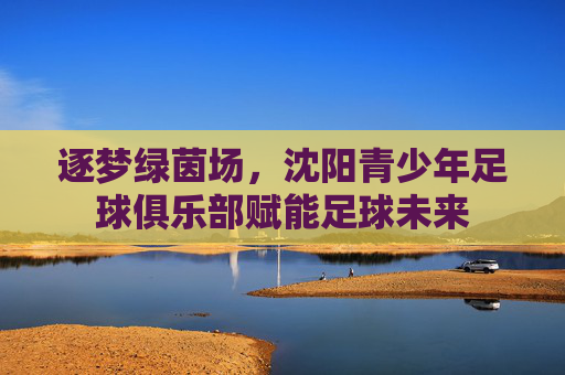 逐梦绿茵场,沈阳青少年足球俱乐部赋能足球未来