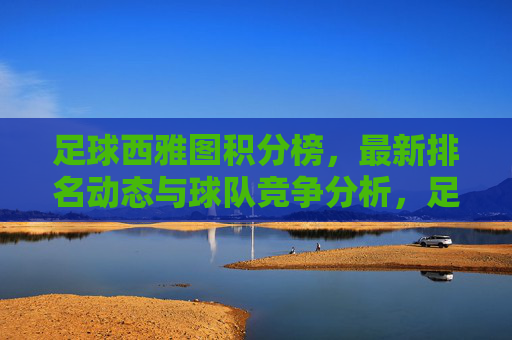 足球西雅图积分榜，最新排名动态与球队竞争分析，足球西雅图积分榜，最新排名动态与球队竞争分析