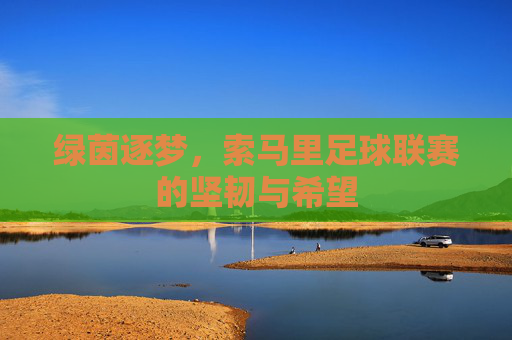 绿茵逐梦,索马里足球联赛的坚韧与希望