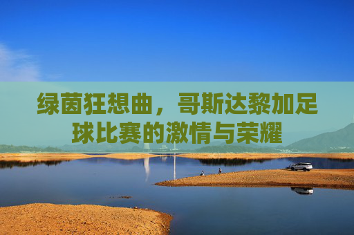 绿茵狂想曲,哥斯达黎加足球比赛的激情与荣耀