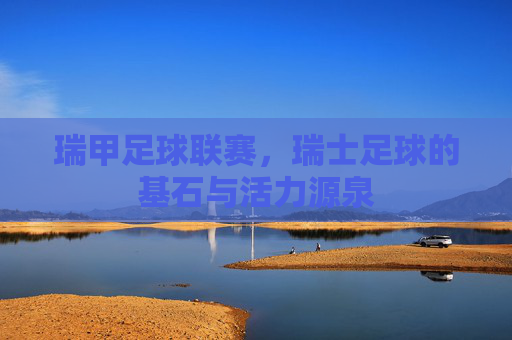 瑞甲足球联赛,瑞士足球的基石与活力源泉